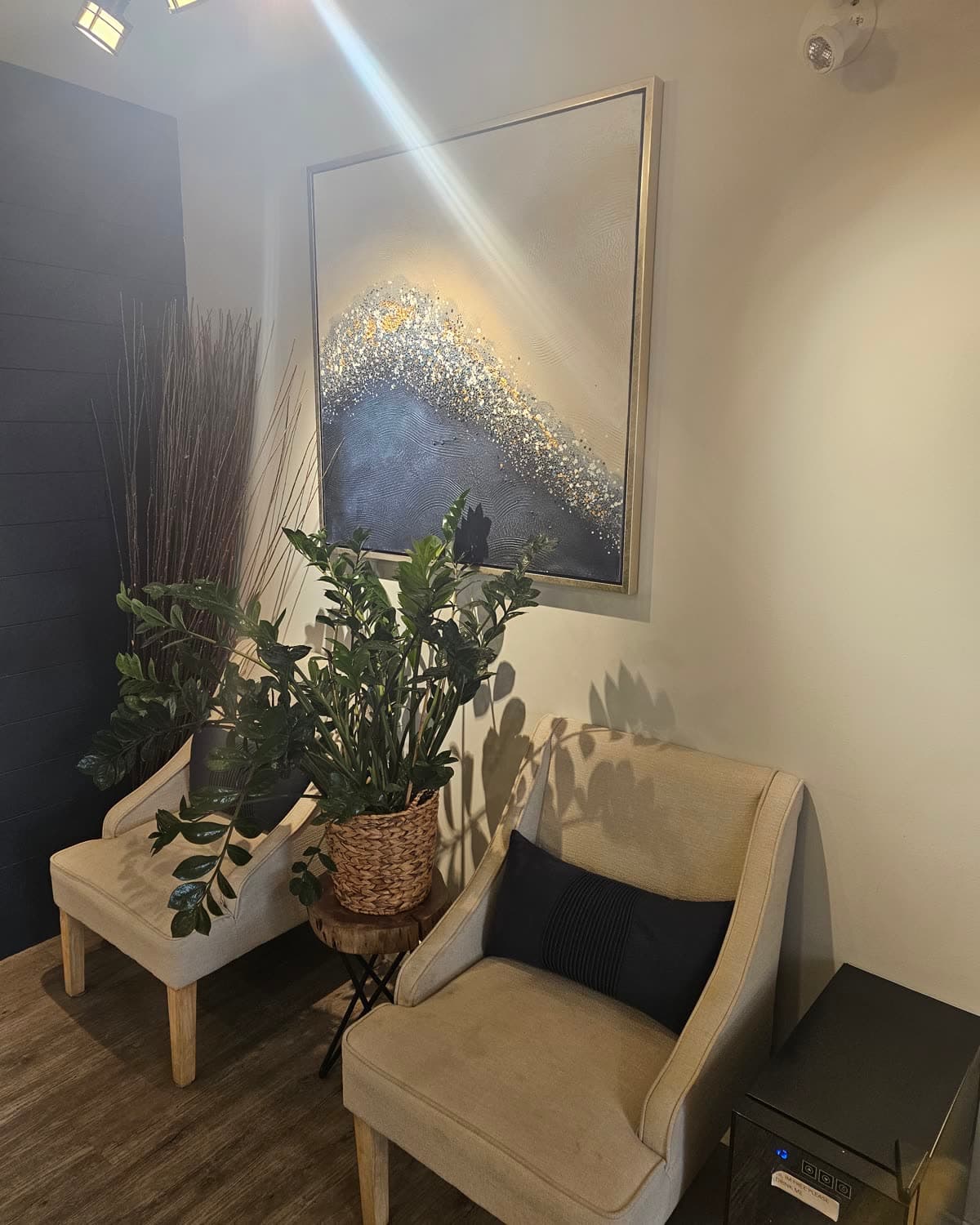 Armchairs, plants and artwork in the Back in Health waiting area